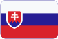 I.N.GLOBAL a.s. Slovensky